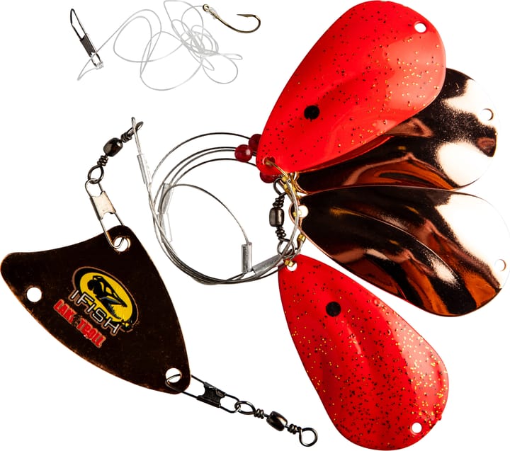 iFish Rogen Orange iFish iFish Rogen Orange iFish