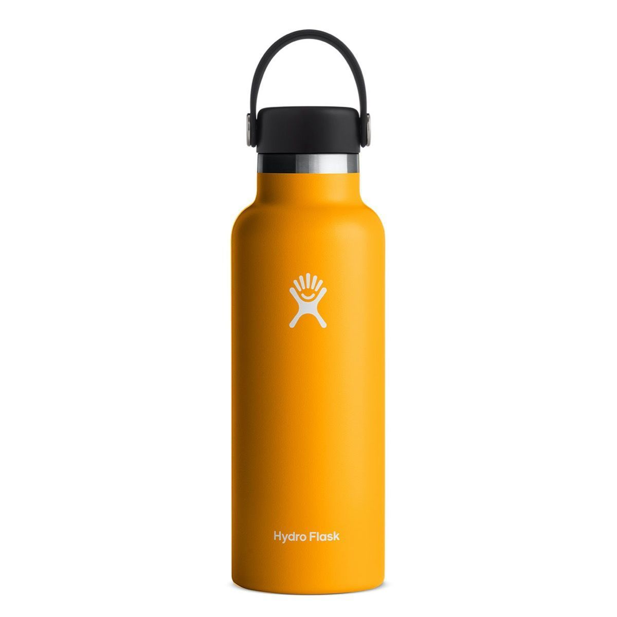 Hydro Flask 18 Oz Standard Flex Cap Starfish 0,53