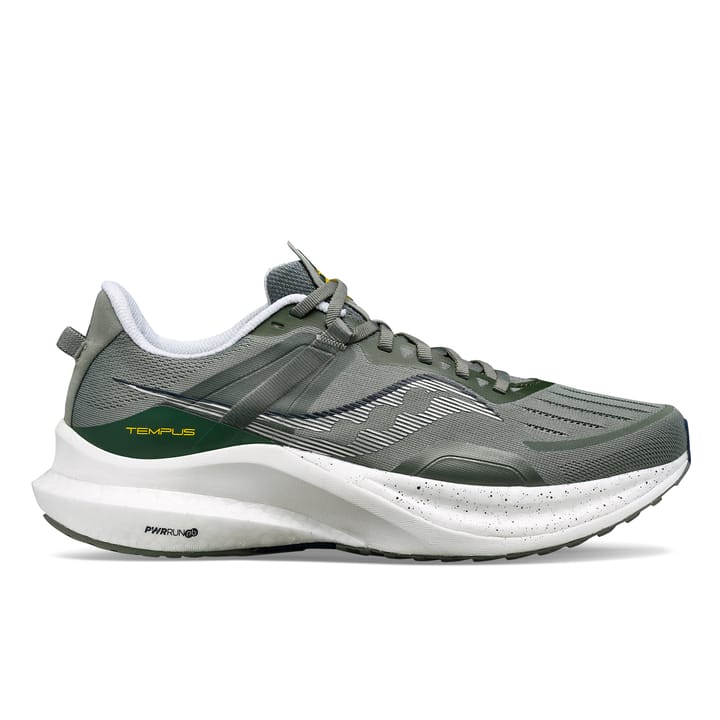 Saucony Tempus, M Bough/White Saucony Saucony Tempus, M Bough/White Saucony