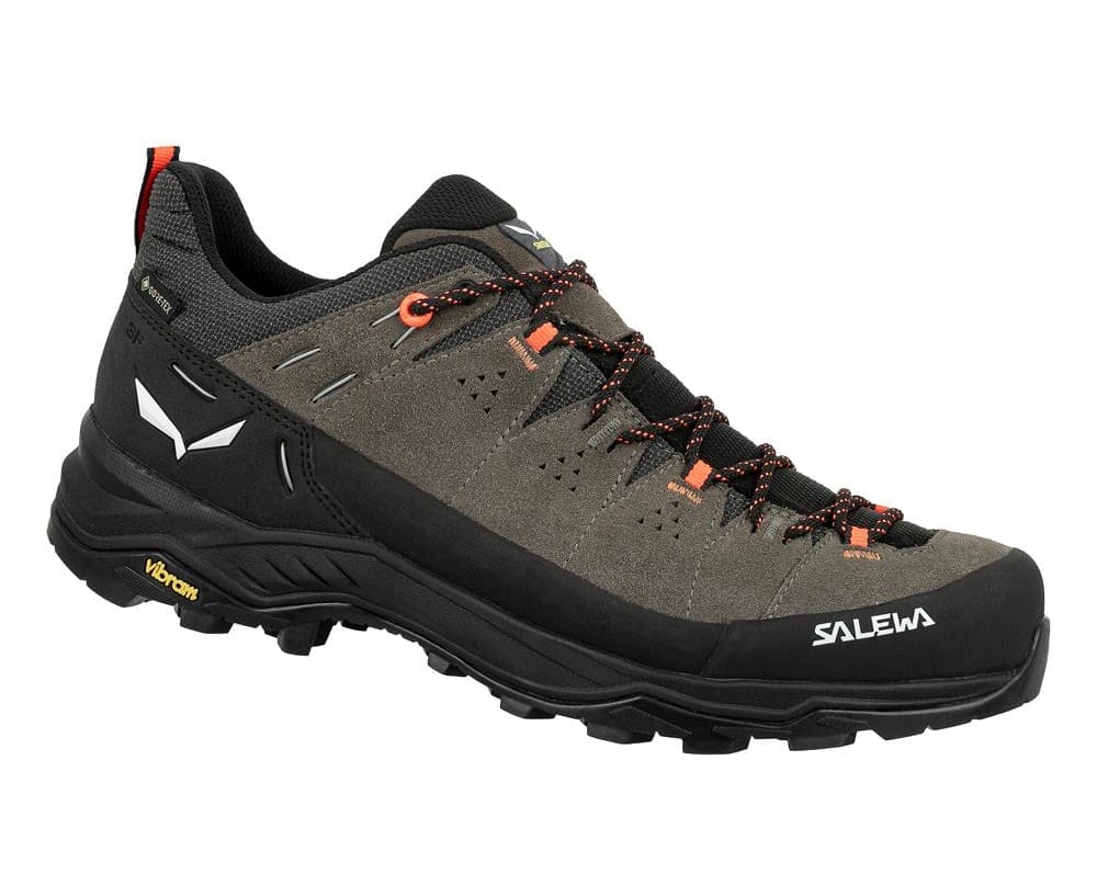 Salewa Men's Alp Trainer 2 Gore-Tex Bungee Cord/Black