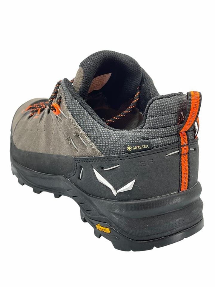 Salewa Men's Alp Trainer 2 Gore-Tex Bungee Cord/Black Salewa