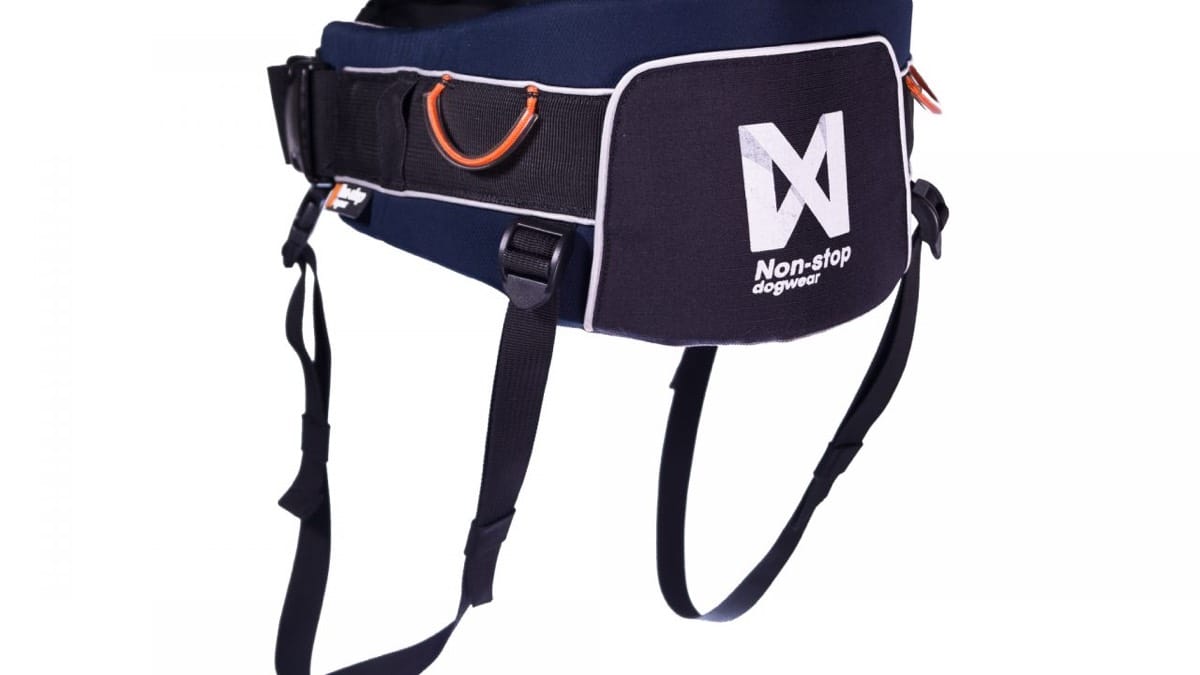 Non-Stop Dogwear Trekking Belt, Blue M