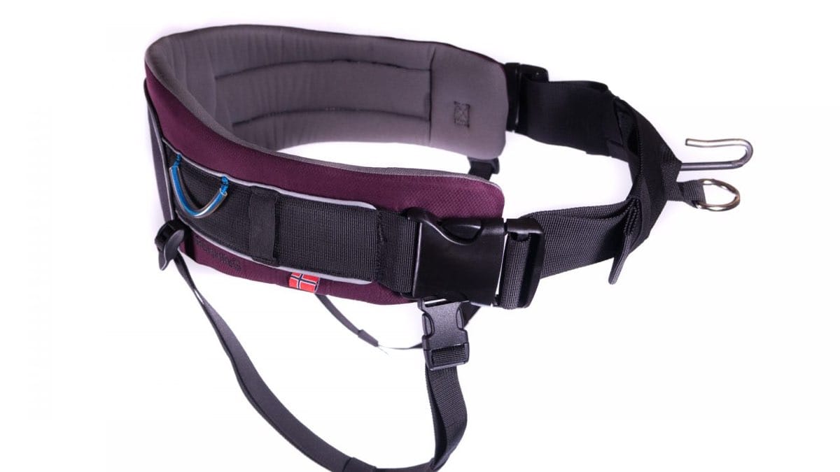 Non-Stop Dogwear Trekking Belt, Purple M