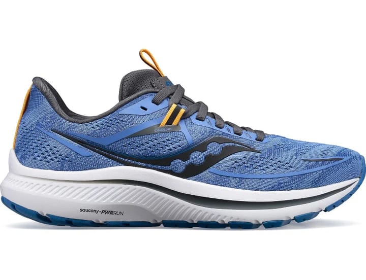 Saucony Women's Omni 21 Horizon/Shadow Saucony