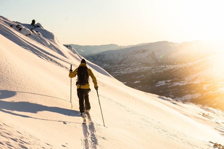 SGN Skis SGN skis Jostedalen Blue artwork SGN skis SGN Skis SGN skis Jostedalen Blue artwork SGN skis