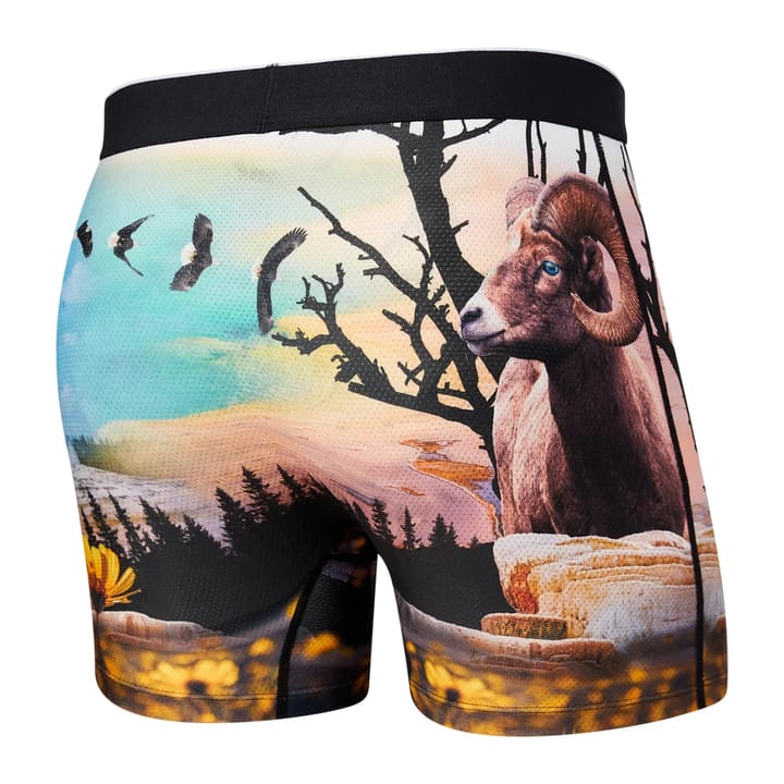 SAXX SAXX VOLT BOXER YELLOWSTONE SAXX SAXX SAXX VOLT BOXER YELLOWSTONE SAXX