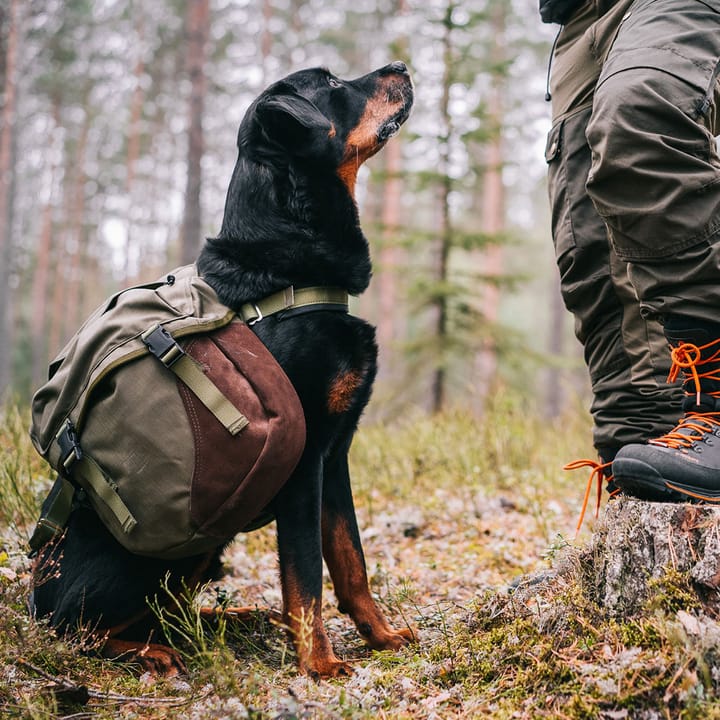 Seleverkstedet Togo Hundekløv Grønn/Brun L Seleverkstedet