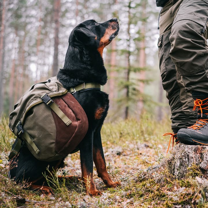 Seleverkstedet Togo Hundekløv Grønn/Brun XL Seleverkstedet Seleverkstedet Togo Hundekløv Grønn/Brun XL Seleverkstedet