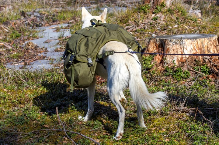 Seleverkstedet Togo Hundekløv Grønn/Brun L Seleverkstedet