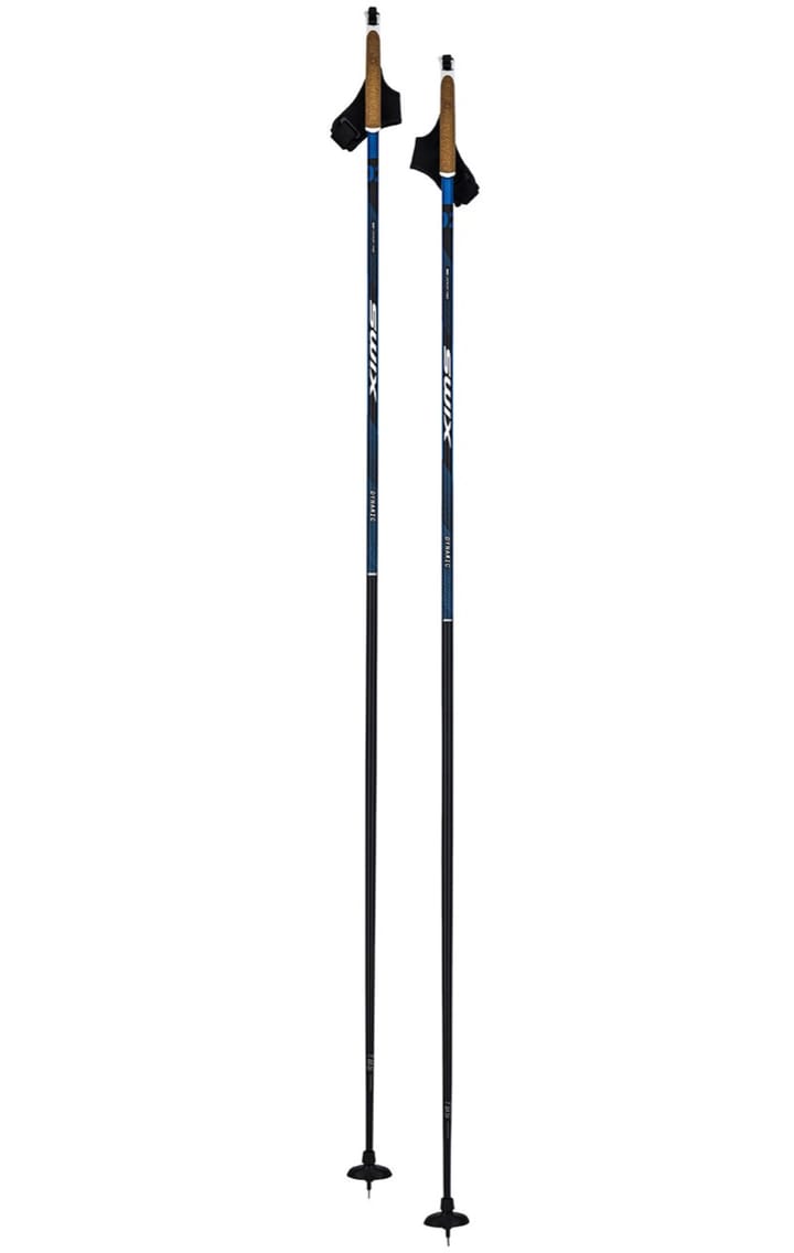 Swix Dynamic D2 Pole Nocolor Swix