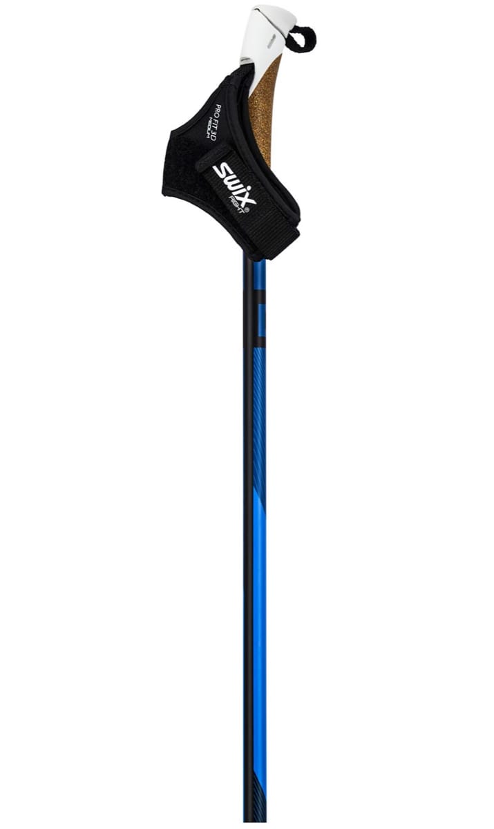 Swix Dynamic D2 Pole Nocolor Swix