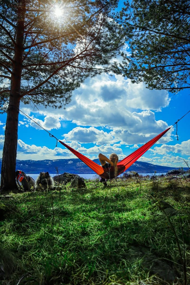 Sydvang Hammock Double Burgundy/Red Sydvang