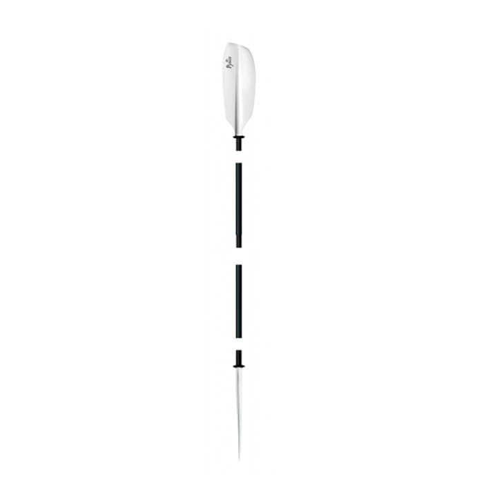 TNP Pyxis White TNP