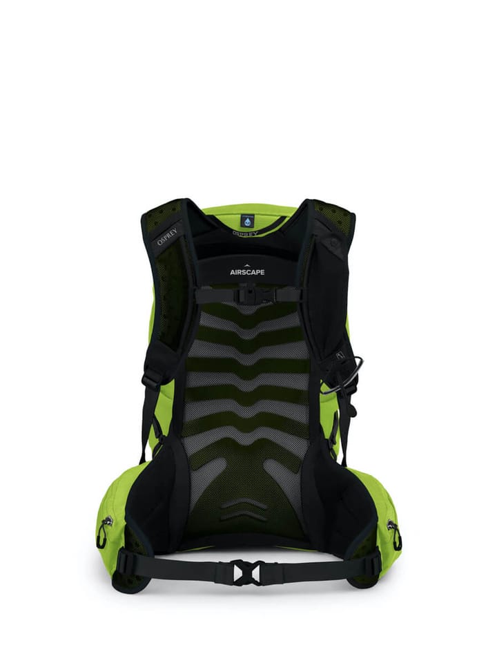Osprey Talon 22 Limon Green Osprey Osprey Talon 22 Limon Green Osprey