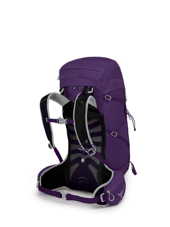 Osprey Tempest 30 Violac Purple Osprey Backpacks and Bags