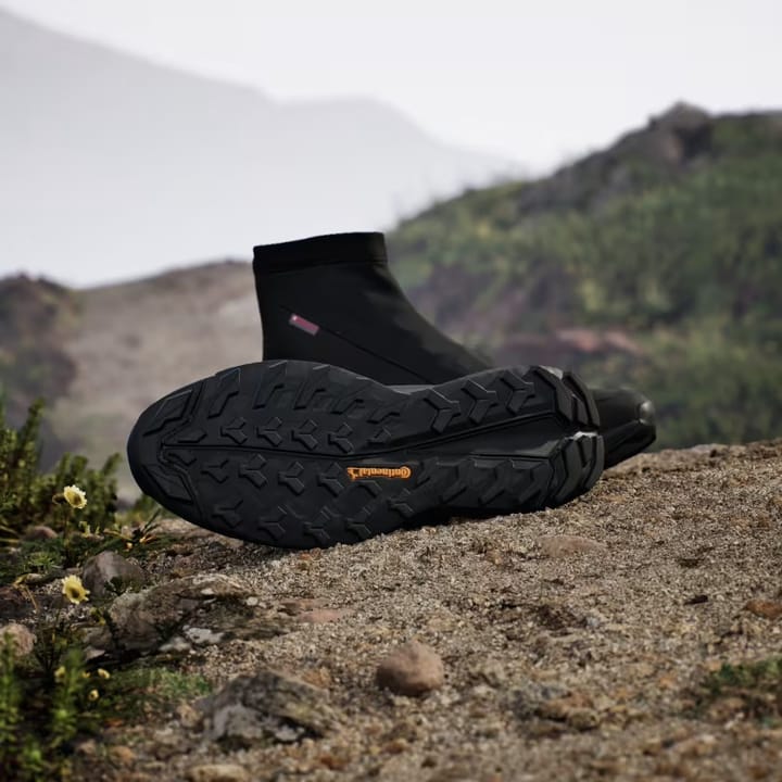 Adidas Men's Terrex Free Hiker 2 COLD.RDY Core Black/Core Black/Grey Four Adidas Adidas Men's Terrex Free Hiker 2 COLD.RDY Core Black/Core Black/Grey Four Adidas