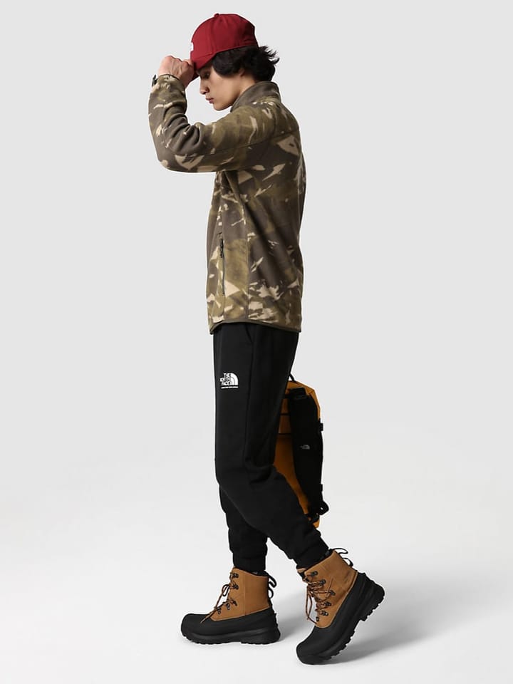 The North Face Men's 100 Glacier Full-Zip New Taupe Green Snowcap Mountains Print The North Face