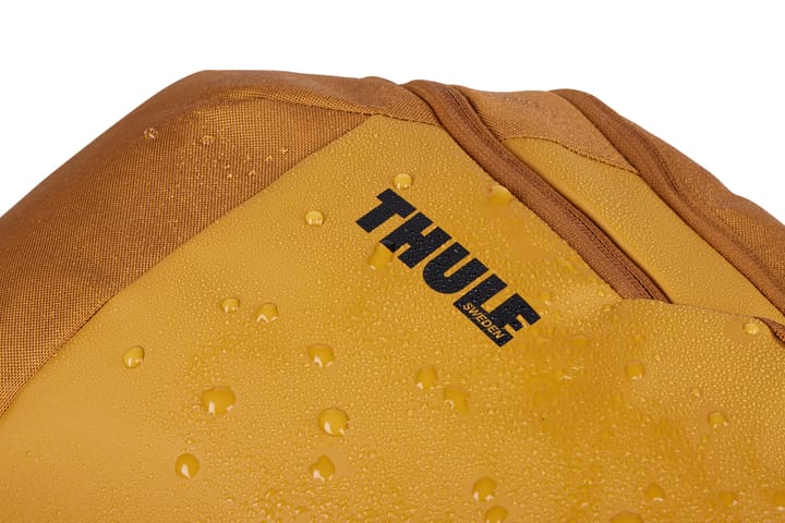 Thule Chasm 26L Golden Thule