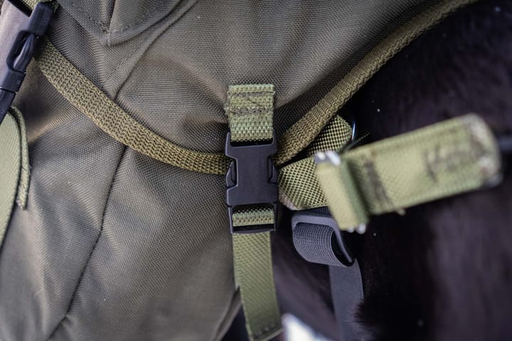 Seleverkstedet Togo Hundekløv Grønn/Brun Mini Seleverkstedet Seleverkstedet Togo Hundekløv Grønn/Brun Mini Seleverkstedet