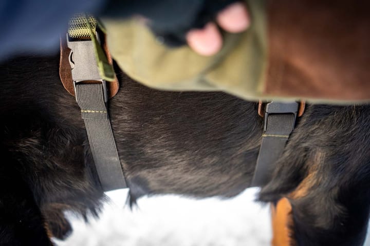 Seleverkstedet Togo Hundekløv Grønn/Brun Mini + Seleverkstedet