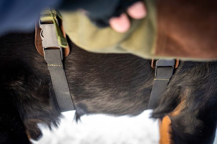 Seleverkstedet Togo Hundekløv Grønn/Brun L Seleverkstedet Seleverkstedet Togo Hundekløv Grønn/Brun L Seleverkstedet