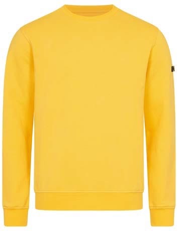 National Geographic FOUNDATION ORG SWEATSHIRT CREWNECK lemon chrome National Geographic National Geographic FOUNDATION ORG SWEATSHIRT CREWNECK lemon chrome National Geographic