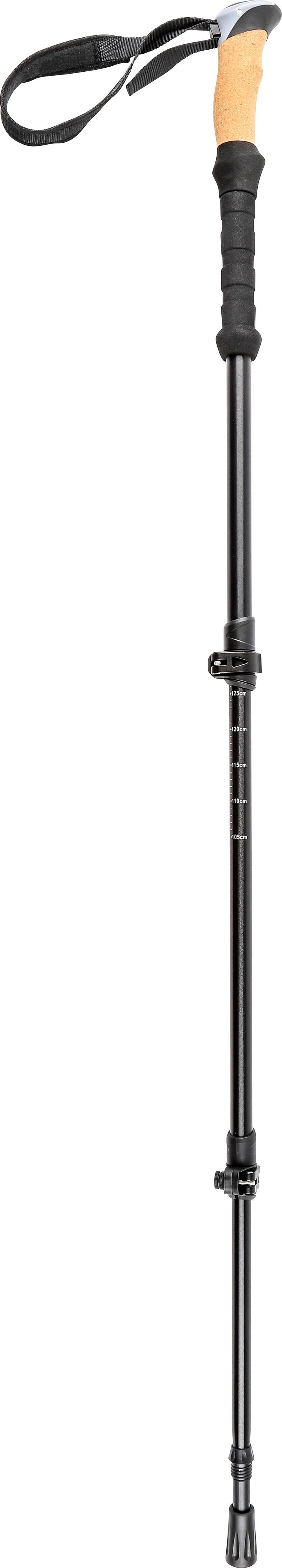Pool 12 Speedstick Wading Pole Black Pool 12