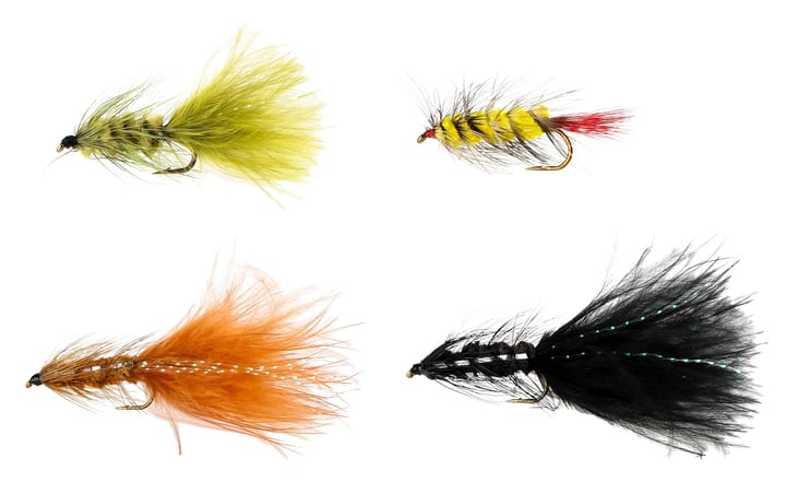 Pool 12 Wolly Bugger 4-Pack Pool 12 Wolly Bugger 4-Pack