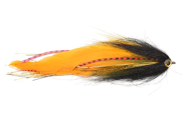 Vision Vision Pike Vision