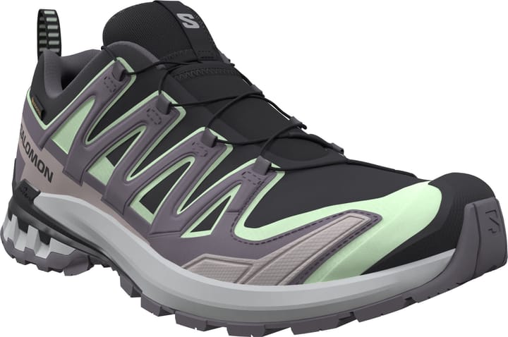 Salomon Women's XA Pro 3d V9 GORE-TEX Black/Patina Green/Gray Violet Salomon