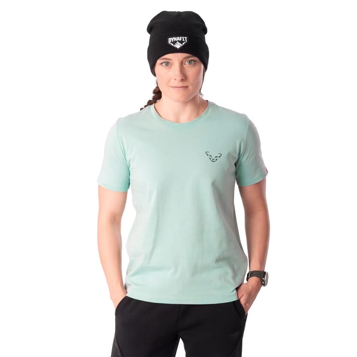 Dynafit Back Graphic Co T-Shirt W Cloud Blue/twilight Dynafit