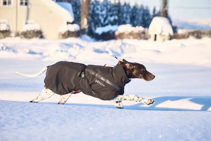 Non-stop Dogwear Trekking Insulated Dog Jacket Black Non-stop Dogwear