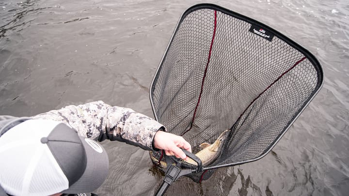 Abu Garcia Beast Net 80x70 Cm Abu Garcia Abu Garcia Beast Net 80x70 Cm Abu Garcia