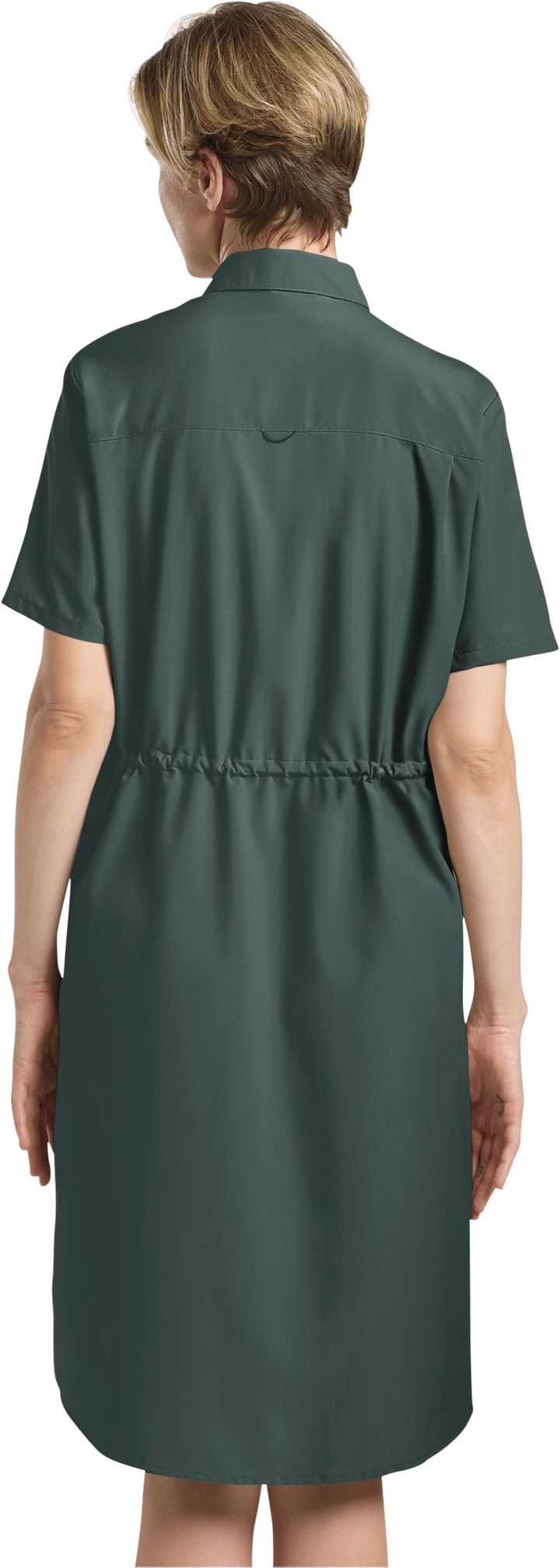 Jack Wolfskin Women's Waimea Dress Sago Palm Jack Wolfskin