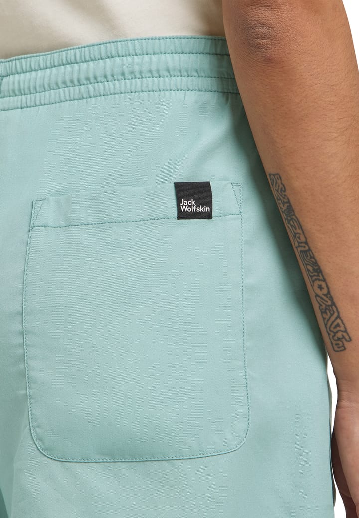 Jack Wolfskin Women's Montero Shorts Soft Jade Jack Wolfskin
