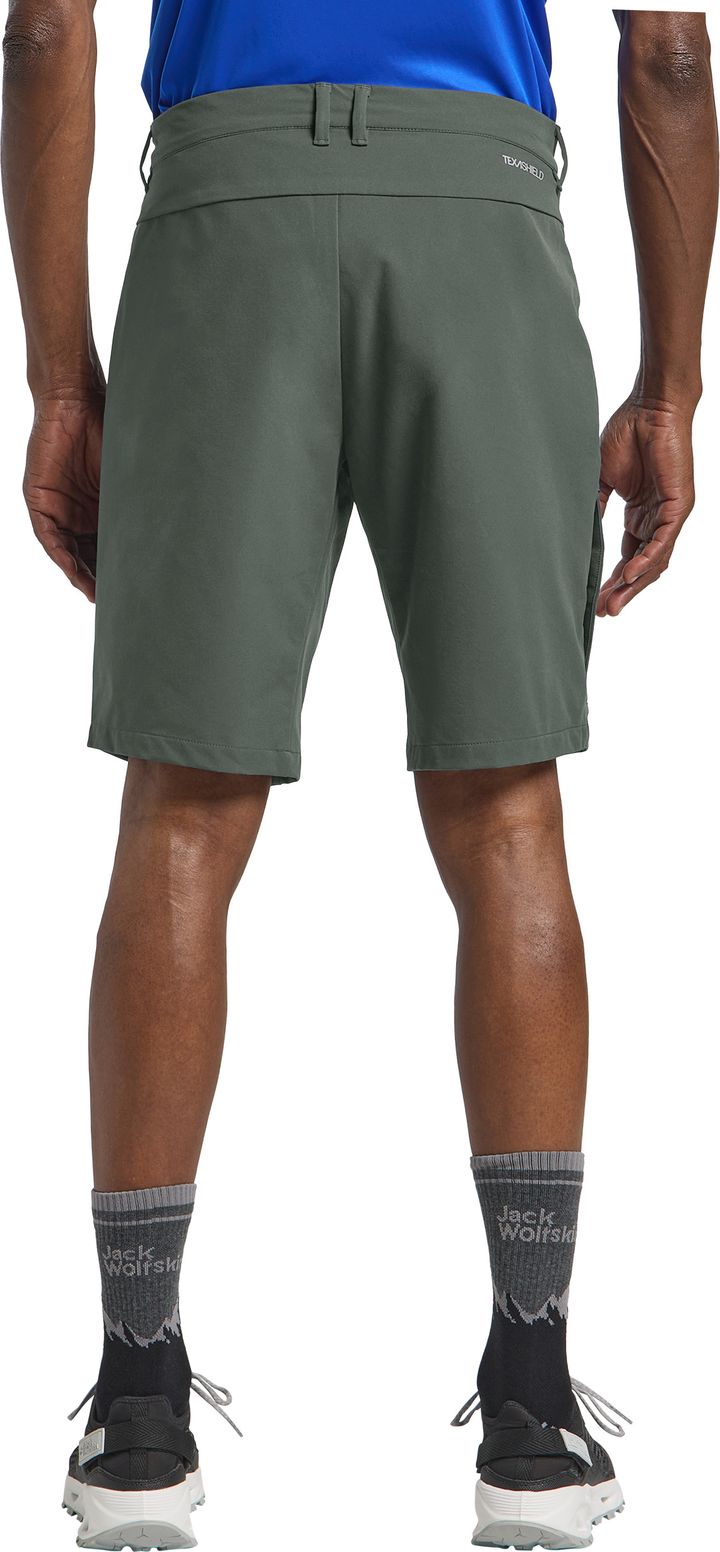 Jack Wolfskin Men's Pico Trail Shorts Slate Green Jack Wolfskin