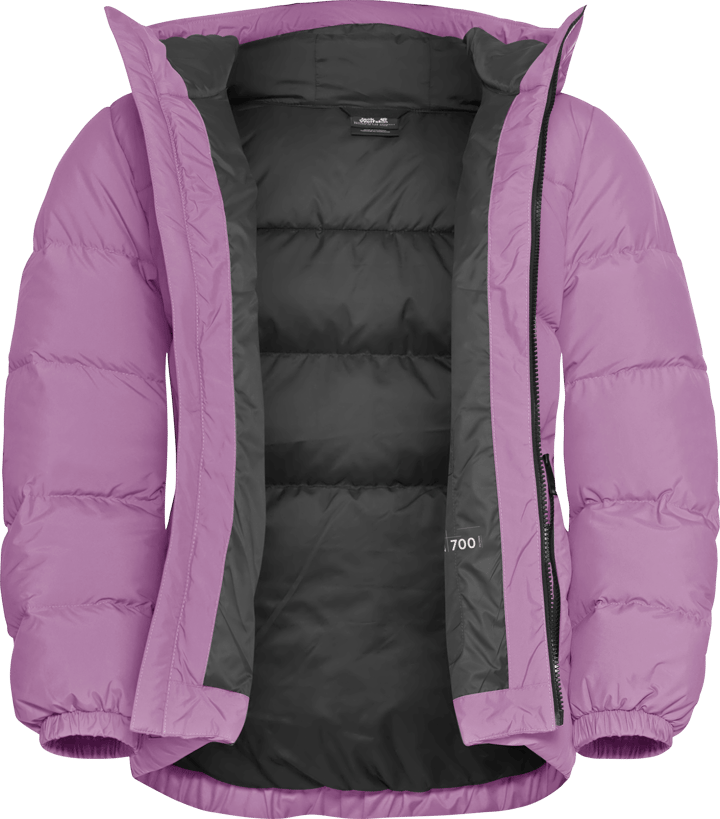 Jack Wolfskin Women's Frozen Palace Jacket Rds Vivid Orchid Jack Wolfskin