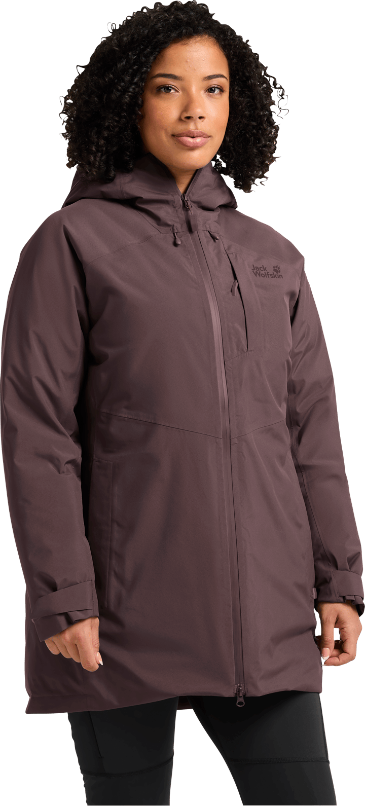 Jack Wolfskin Women's Icecape 2l Down Ins Jacket Rds Sheer Plum Jack Wolfskin