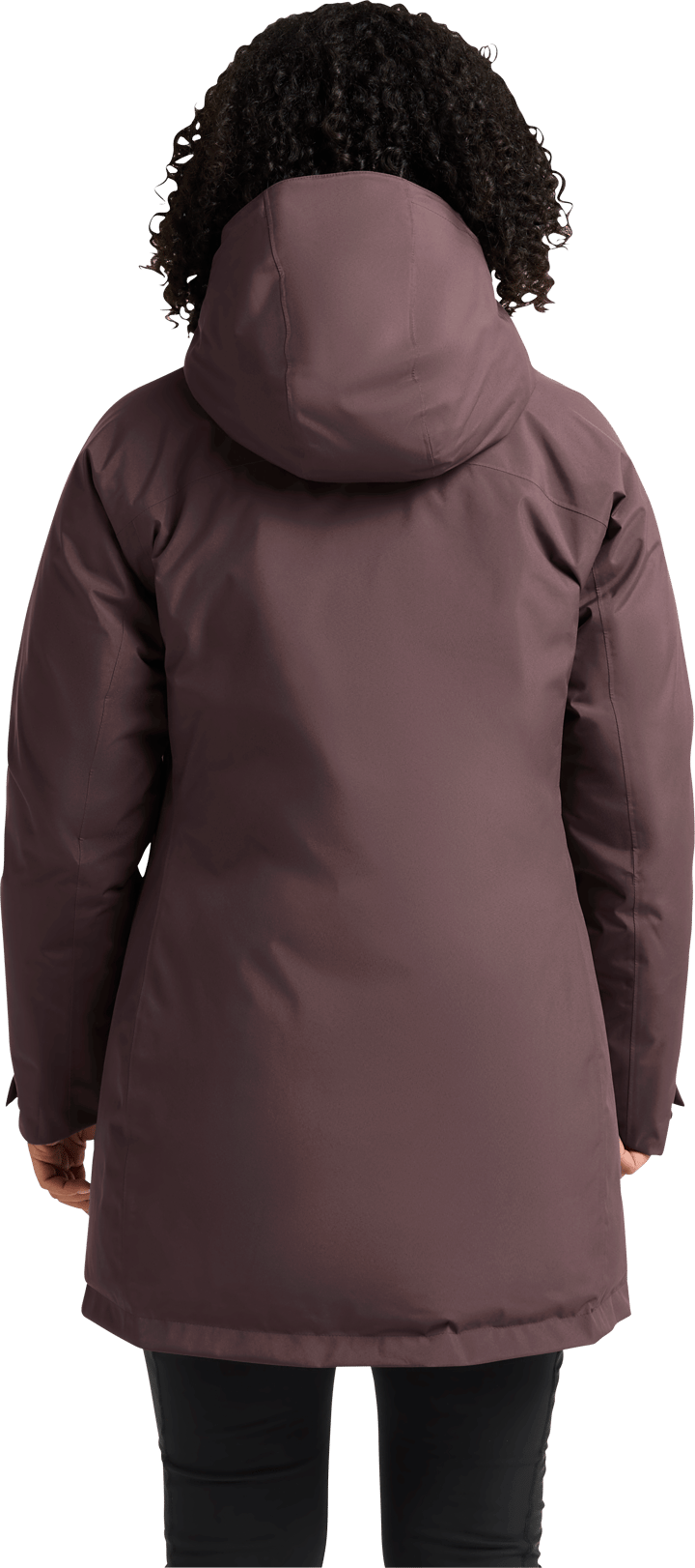 Jack Wolfskin Women's Icecape 2l Down Ins Jacket Rds Sheer Plum Jack Wolfskin