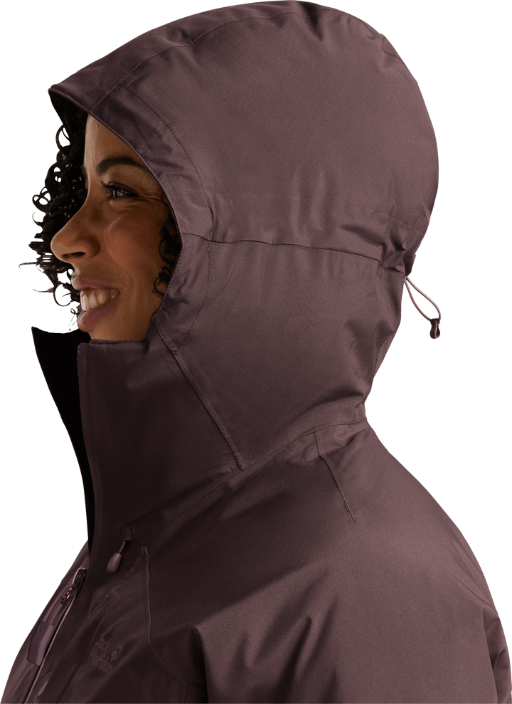 Jack Wolfskin Women's Icecape 2l Down Ins Jacket Rds Sheer Plum Jack Wolfskin