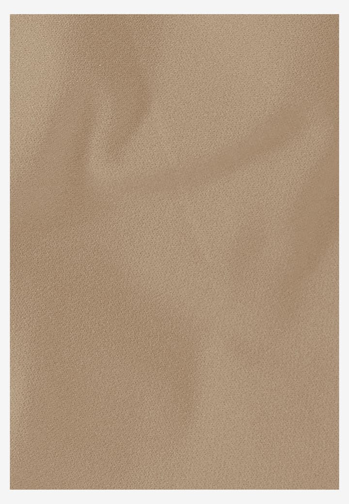 Jack Wolfskin Men's Pico Shorts Hazel Wood Jack Wolfskin