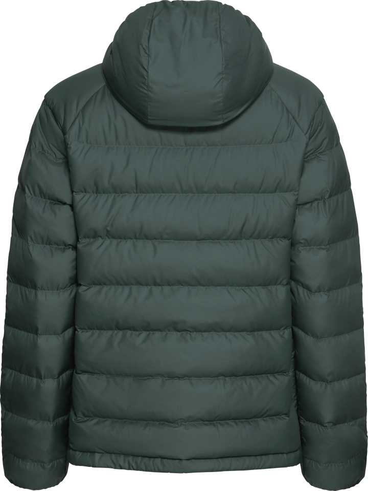 Jack Wolfskin Women's Wild Pass Down Hoody Sago Palm Jack Wolfskin