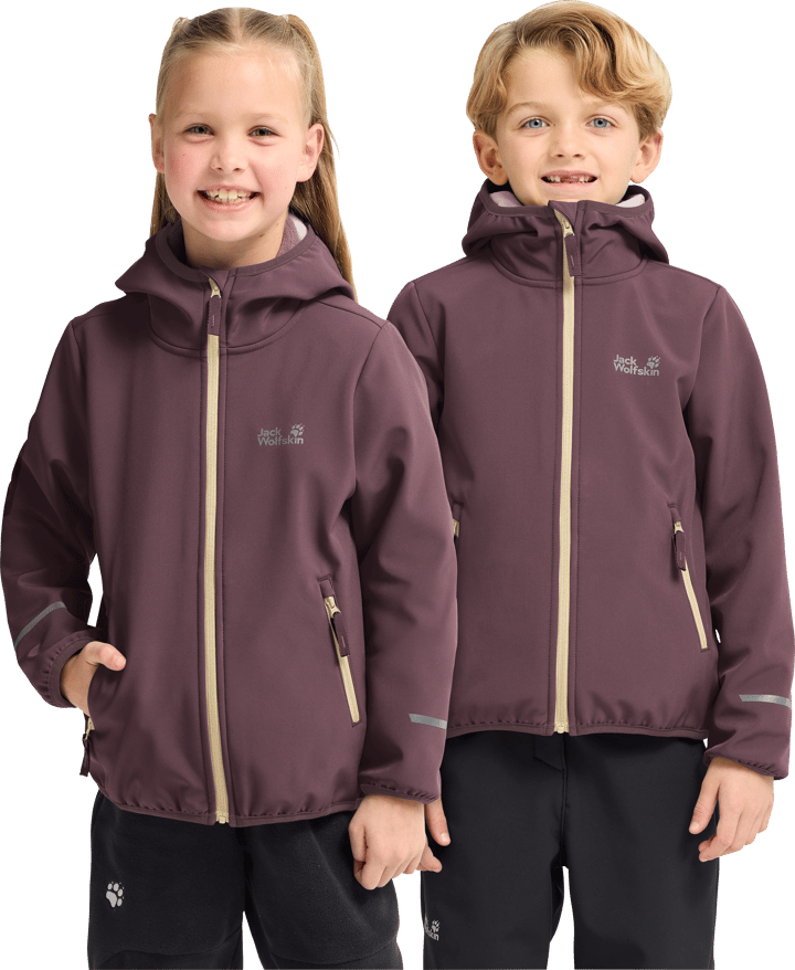 Jack Wolfskin Kids Fourwinds Jacket Sheer Plum Jack Wolfskin