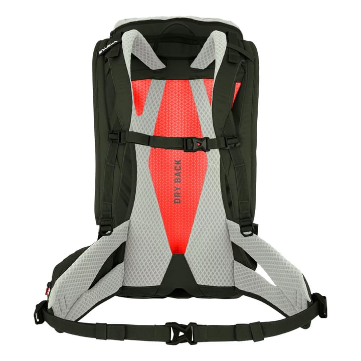 Salewa Alp Trainer 25 Shadow/dark Olive Salewa
