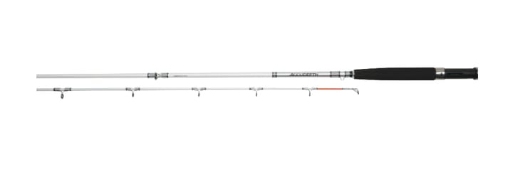 Daiwa Accudepth Interline 7'0"/213cm 12-20lb Daiwa