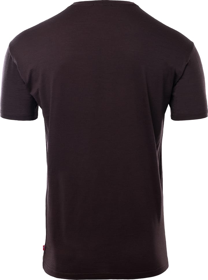 Aclima Men's LightWool 180 Classic Tee Chocolate Plum Aclima