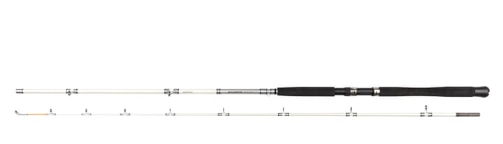 Daiwa Accudepth Predator Daiwa