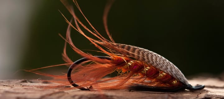 Ahrex Hooks Hr410 Tying Single Ahrex Hooks