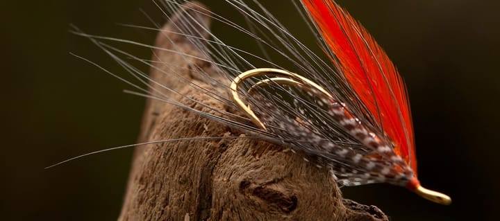 Ahrex Hooks Hr420g Progressive Double Ahrex Hooks