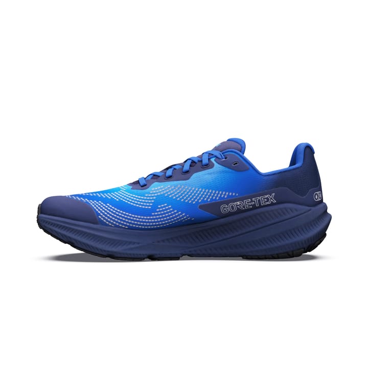 Altra M Experience Flow 3 Gtx Blue Hour/dusk Altra